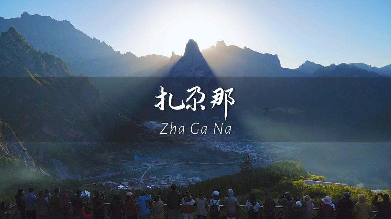 机智问答网页-精准解答问题,高效获取信息 - 在炒平菇之前,究竟要不要焯水呢?理由是什么?